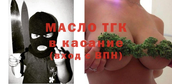 первитин Каменка